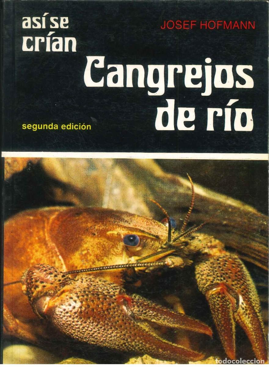 Libros: AS&Iacute; SE CR&Iacute;AN CANGREJOS DE R&Iacute;O - Foto 1