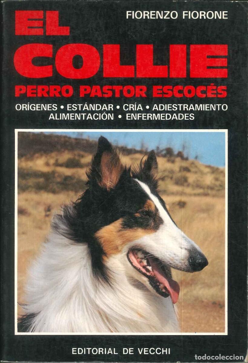 Libros: EL COLLIE. PERRO PASTOR ESCOC&Eacute;S - Foto 1