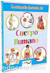 Libri: Enciclopedia Ilustrada Cuerpo Humano - PLAYBOOK