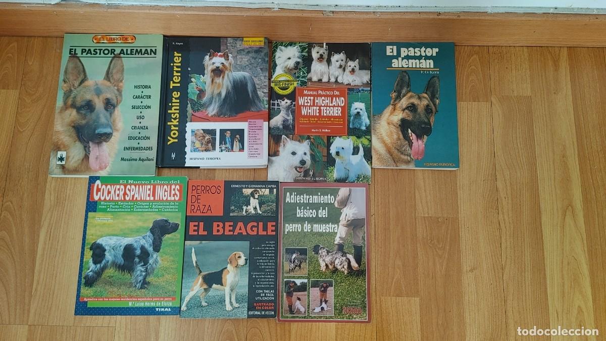 Libros: perros,lote de 7 libros - Foto 1
