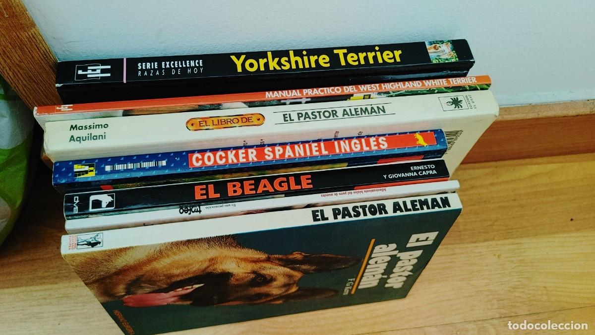 Libros: perros,lote de 7 libros - Foto 3