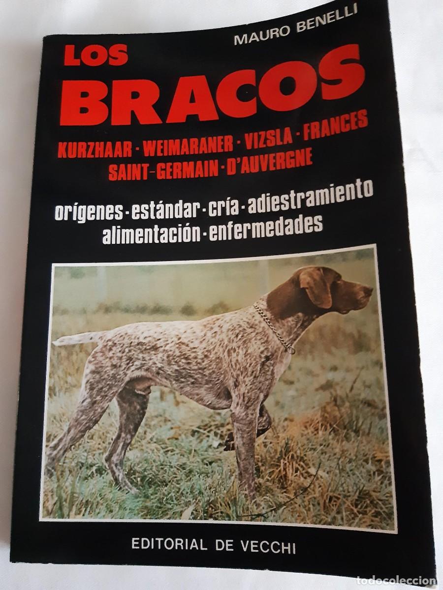 Libros: Los bracos Mauro Benelli perros de caza - Foto 1