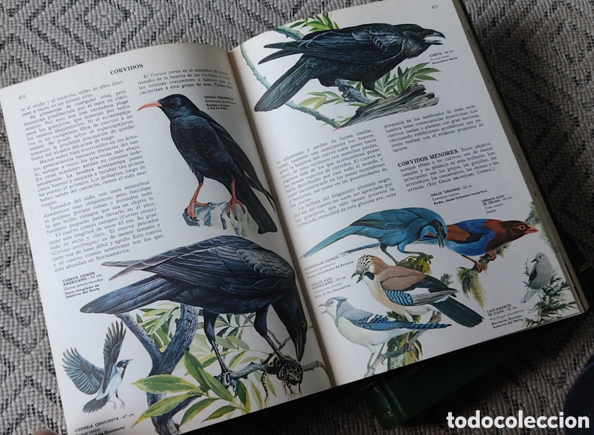 Libros: CIENCIAS NATURALES (2tomos) - Foto 3