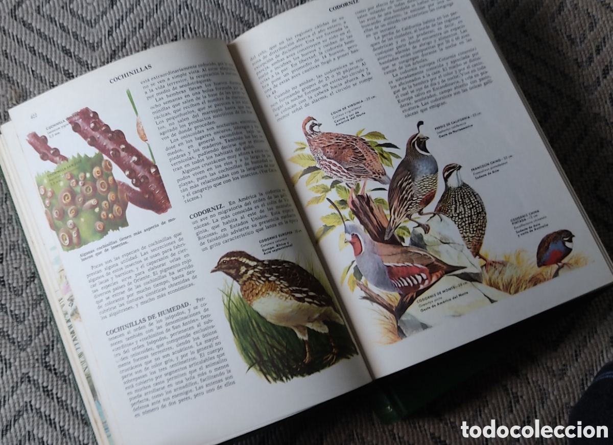Libros: CIENCIAS NATURALES (2tomos) - Foto 4