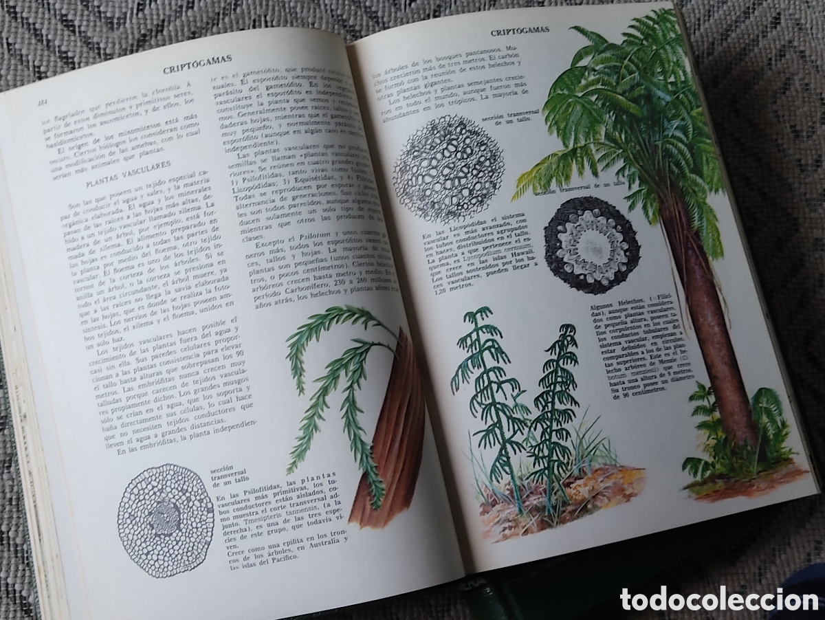 Libros: CIENCIAS NATURALES (2tomos) - Foto 5