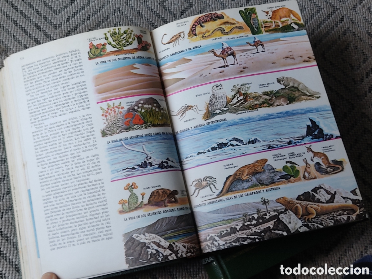 Libros: CIENCIAS NATURALES (2tomos) - Foto 6