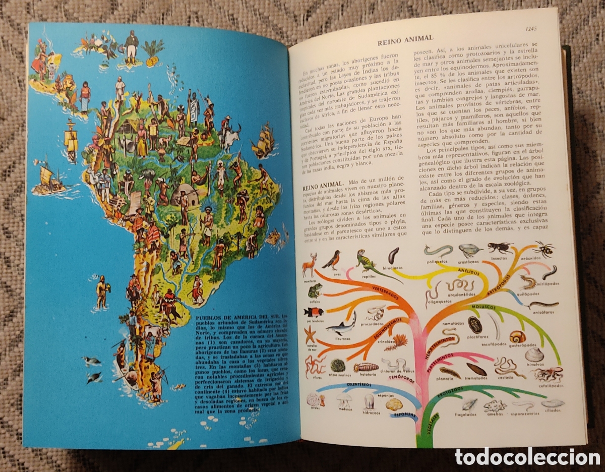 Libros: CIENCIAS NATURALES (2tomos) - Foto 7