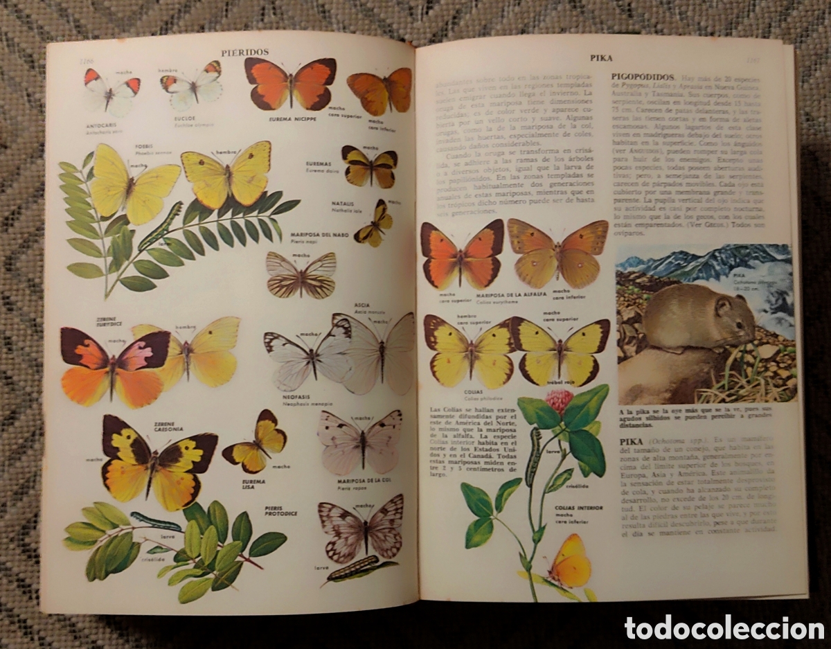 Libros: CIENCIAS NATURALES (2tomos) - Foto 8