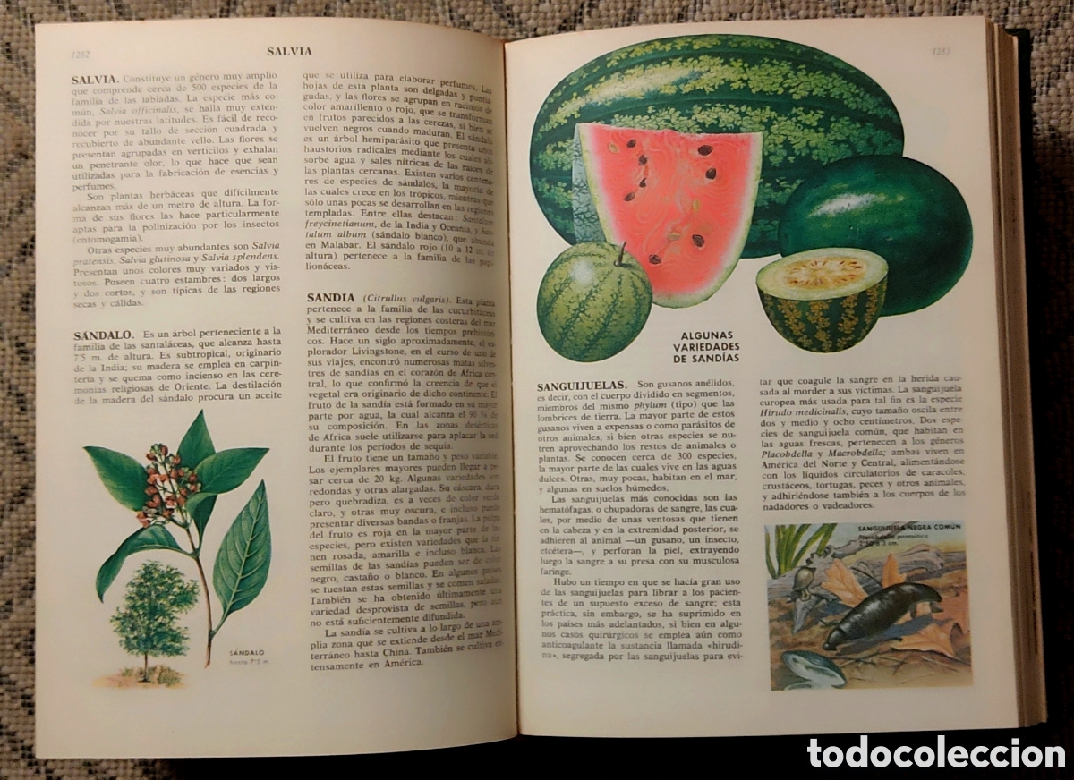 Libros: CIENCIAS NATURALES (2tomos) - Foto 9