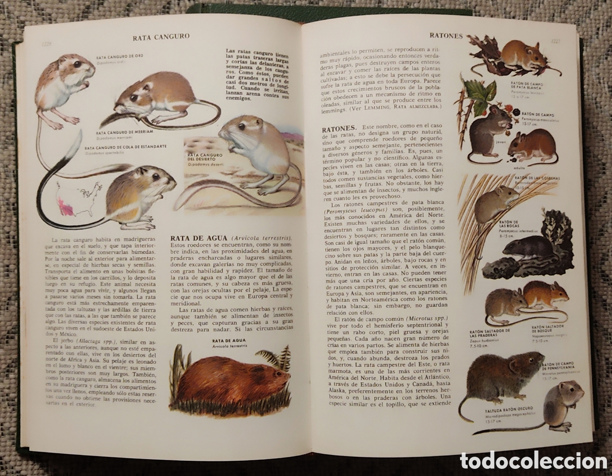 Libros: CIENCIAS NATURALES (2tomos) - Foto 11