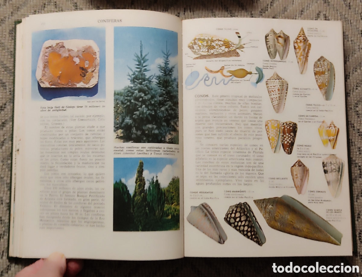 Libros: CIENCIAS NATURALES (2tomos) - Foto 12
