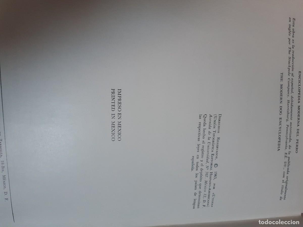 Libros: ENCICLOPEDIA MODERNA DEL PERRO HENRY P DAVIS - Foto 3