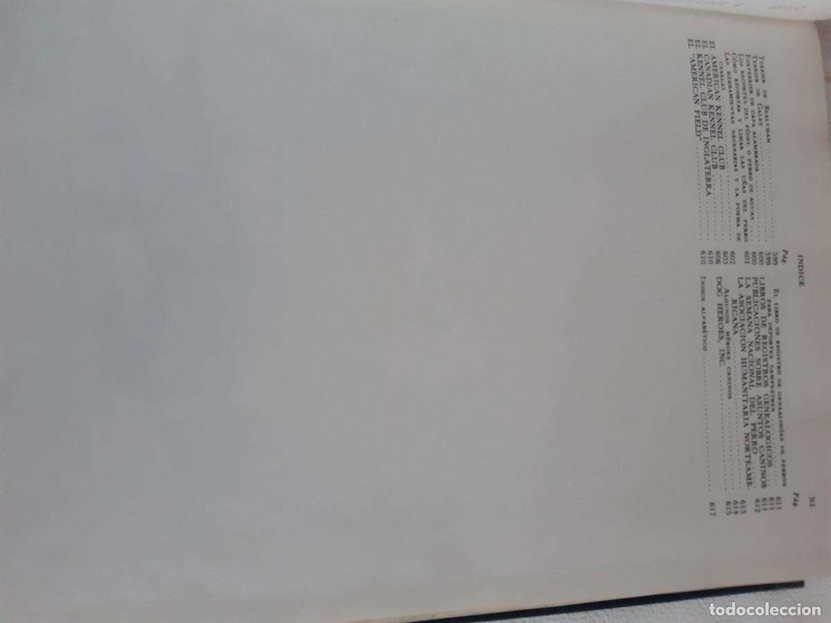Libros: ENCICLOPEDIA MODERNA DEL PERRO HENRY P DAVIS - Foto 4