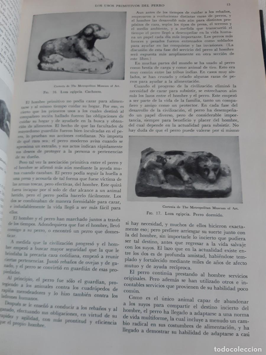 Libros: ENCICLOPEDIA MODERNA DEL PERRO HENRY P DAVIS - Foto 5
