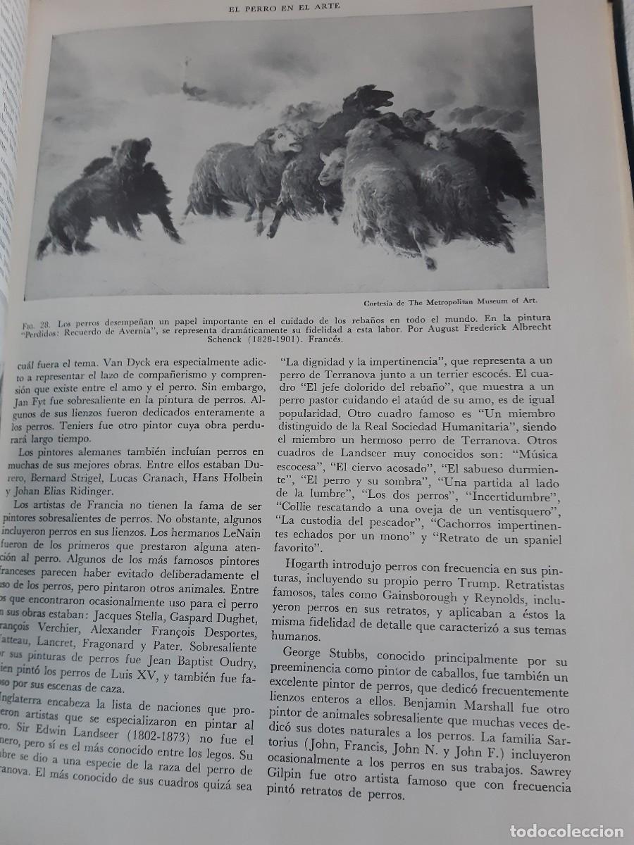 Libros: ENCICLOPEDIA MODERNA DEL PERRO HENRY P DAVIS - Foto 6