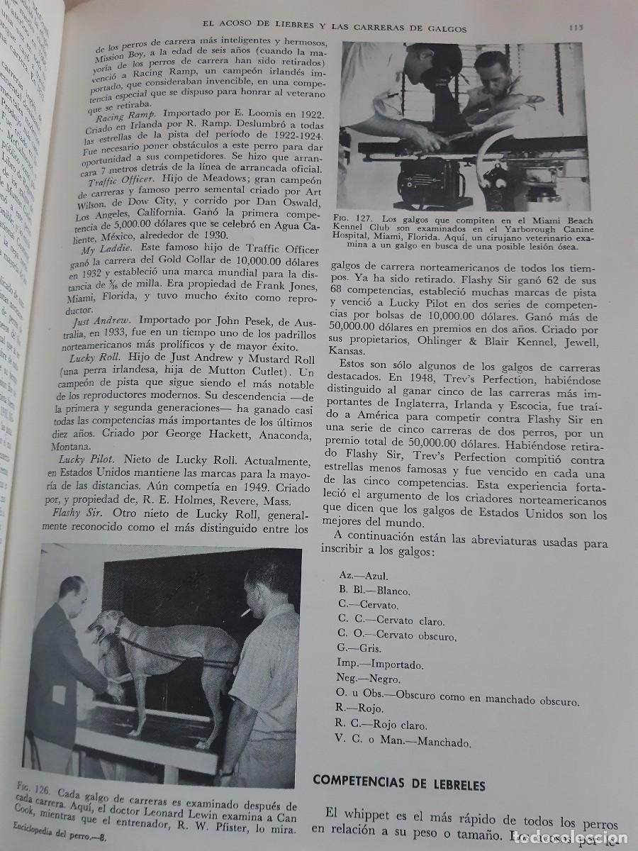 Libros: ENCICLOPEDIA MODERNA DEL PERRO HENRY P DAVIS - Foto 9