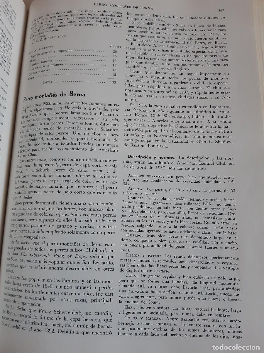 Libros: ENCICLOPEDIA MODERNA DEL PERRO HENRY P DAVIS - Foto 11