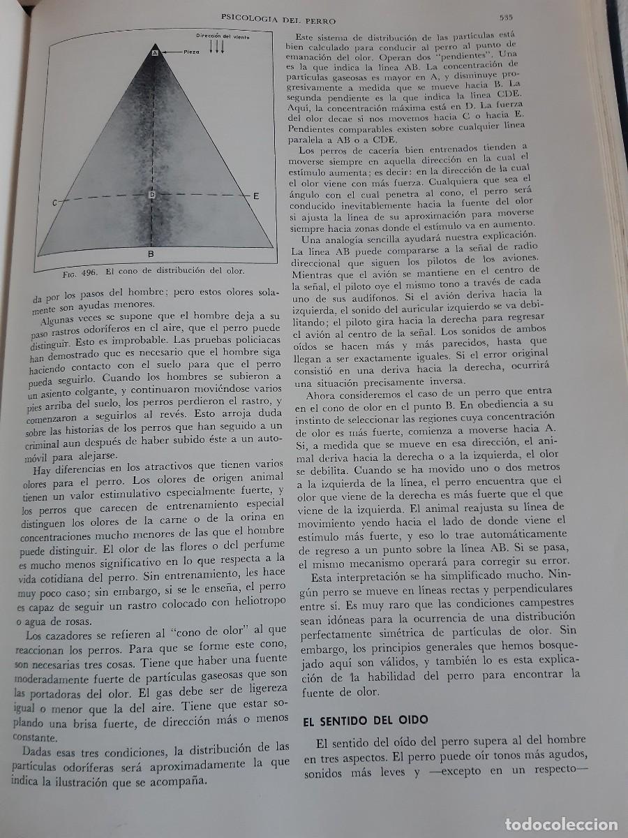 Libros: ENCICLOPEDIA MODERNA DEL PERRO HENRY P DAVIS - Foto 14