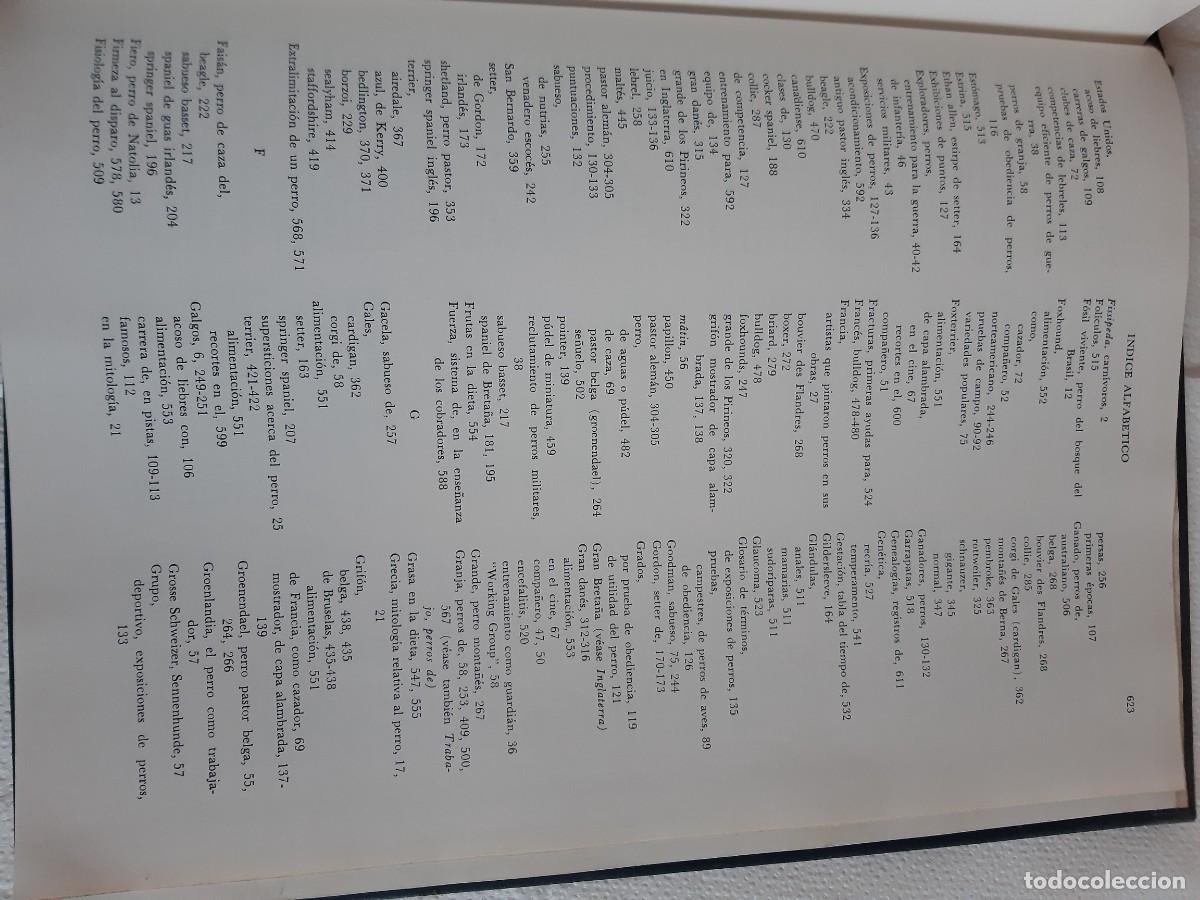 Libros: ENCICLOPEDIA MODERNA DEL PERRO HENRY P DAVIS - Foto 15
