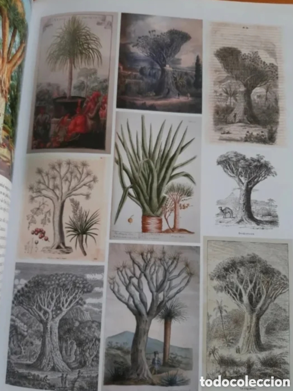 Libros: Rincones del Atl&aacute;ntico n&ordm; 6/7 - Foto 3