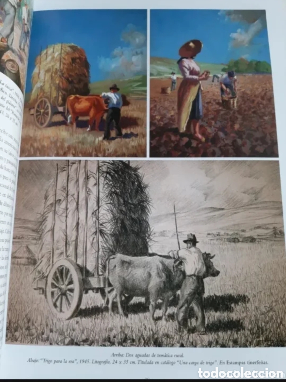 Libros: Rincones del Atl&aacute;ntico n&ordm; 6/7 - Foto 5
