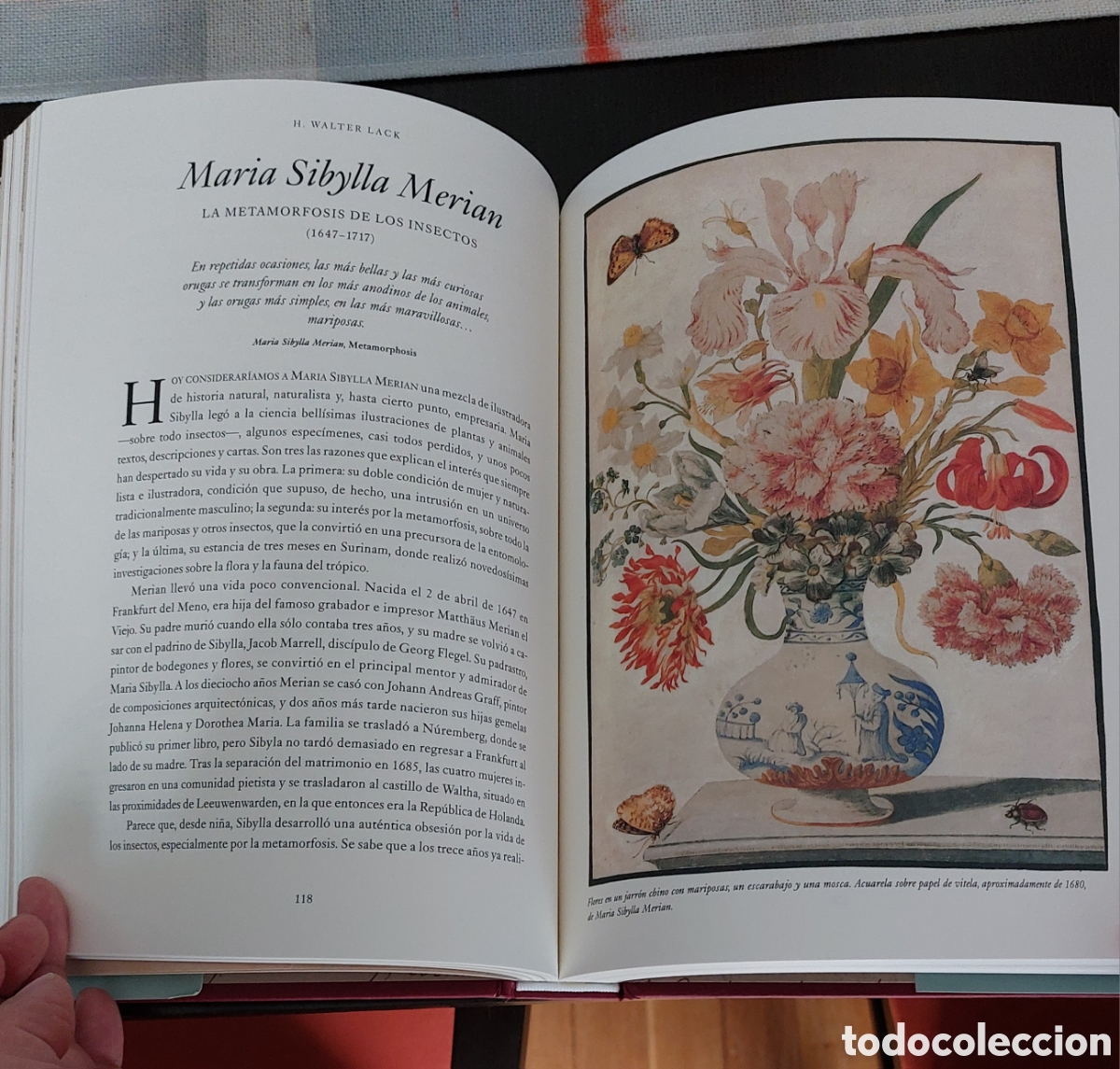 Libros: LIBRO LOS GRANDES NATURALISTAS - Foto 3