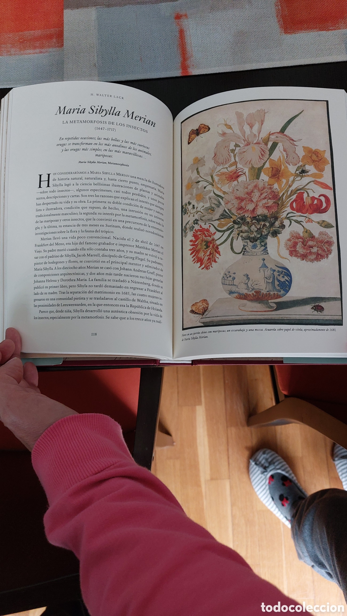 Libros: LIBRO LOS GRANDES NATURALISTAS - Foto 4
