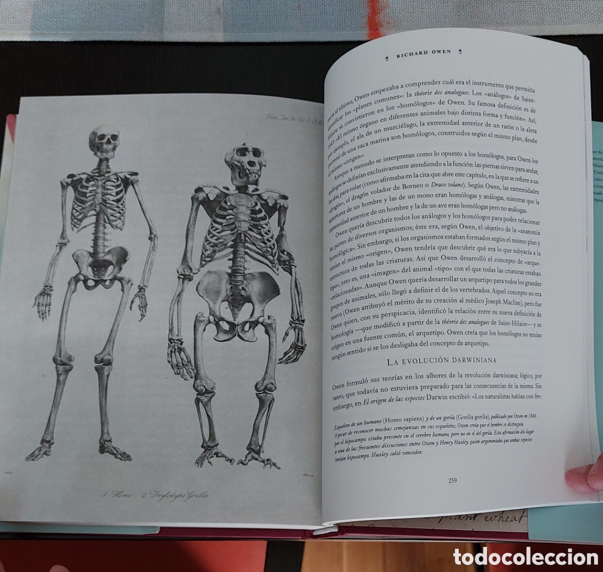 Libros: LIBRO LOS GRANDES NATURALISTAS - Foto 6