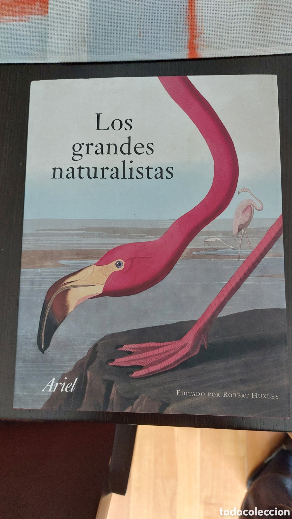 Libros: LIBRO LOS GRANDES NATURALISTAS - Foto 1