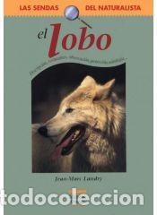 Libros: EL LOBO - Jean-Marc Landry - Foto 1
