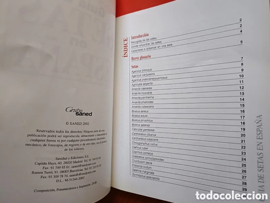 Libros: Gu&iacute;a de setas en Espa&ntilde;a - Foto 2
