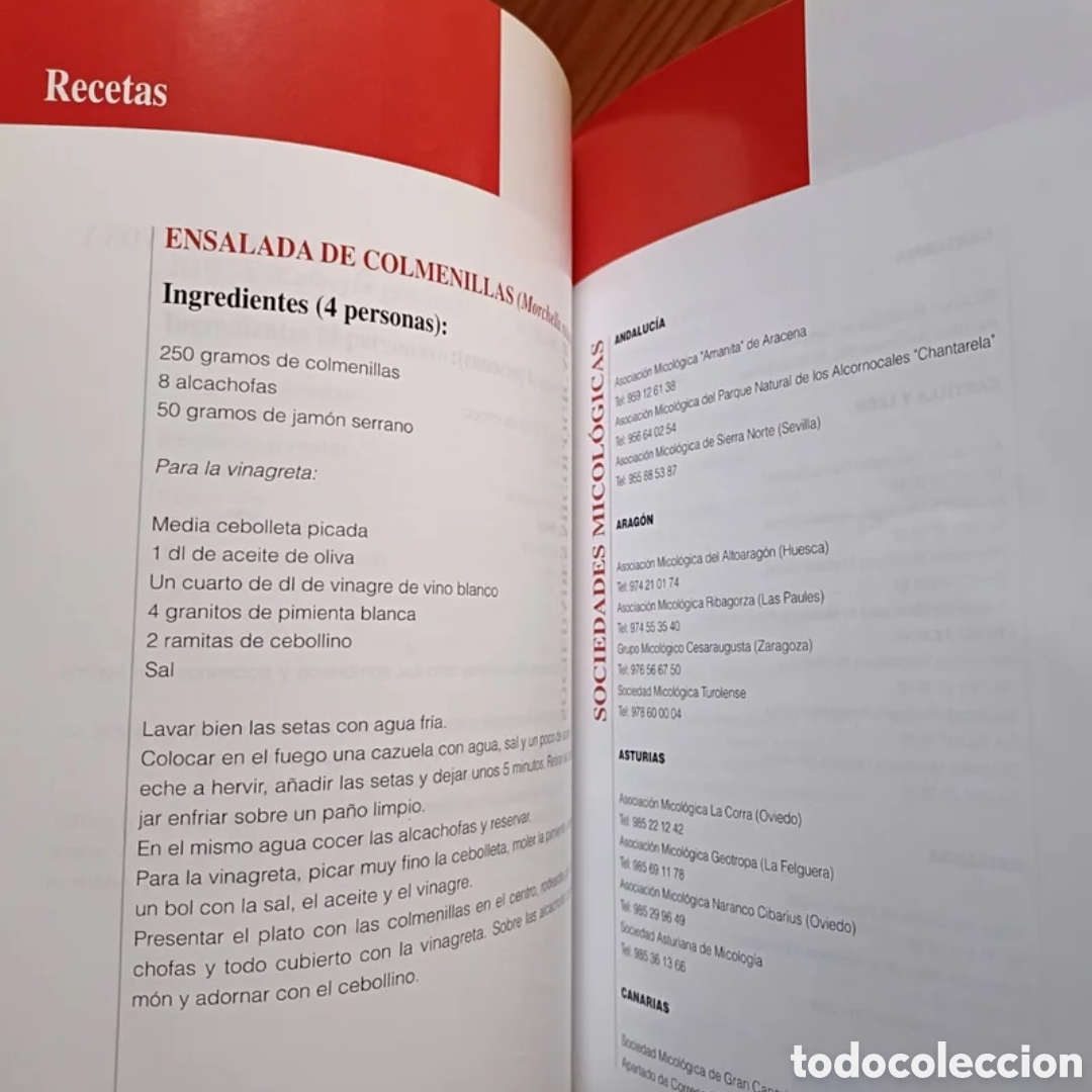Libros: Gu&iacute;a de setas en Espa&ntilde;a - Foto 4