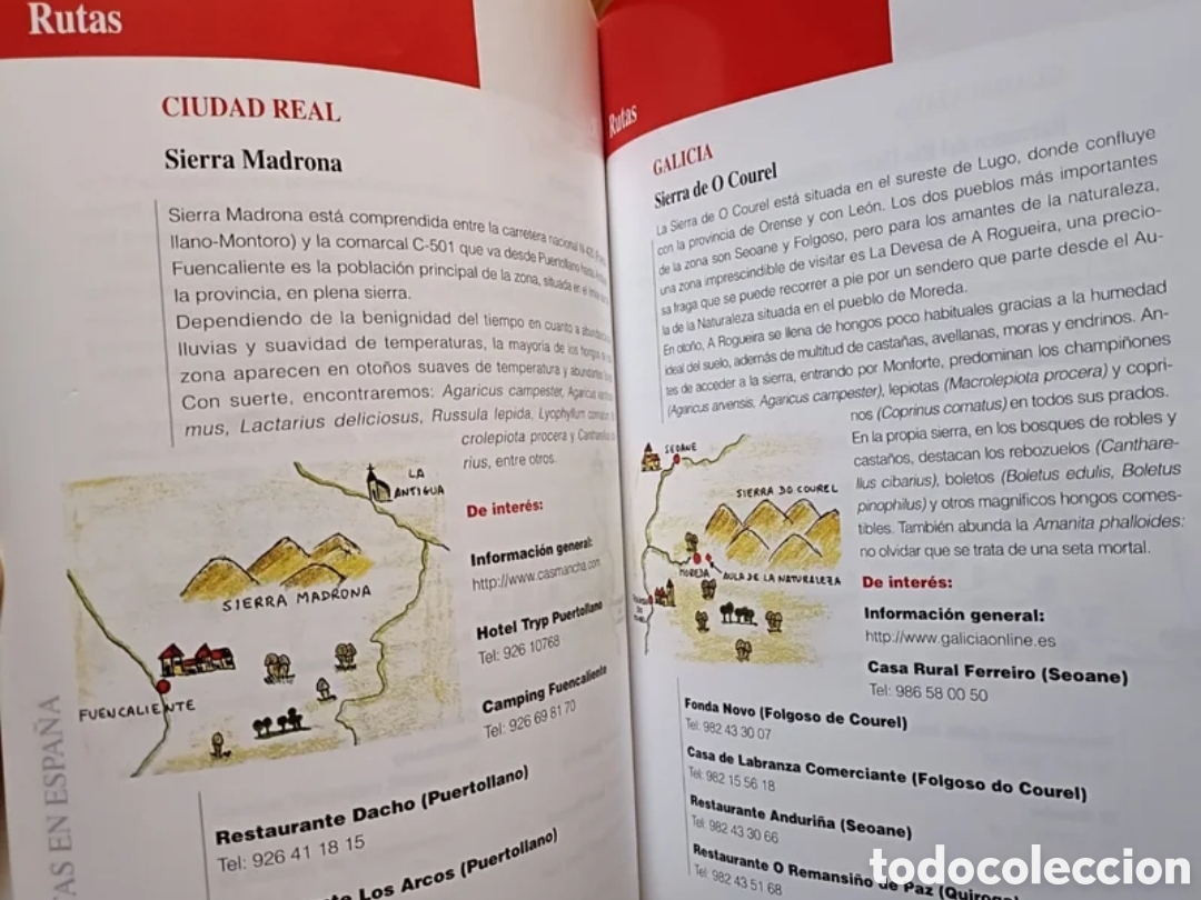 Libros: Gu&iacute;a de setas en Espa&ntilde;a - Foto 5