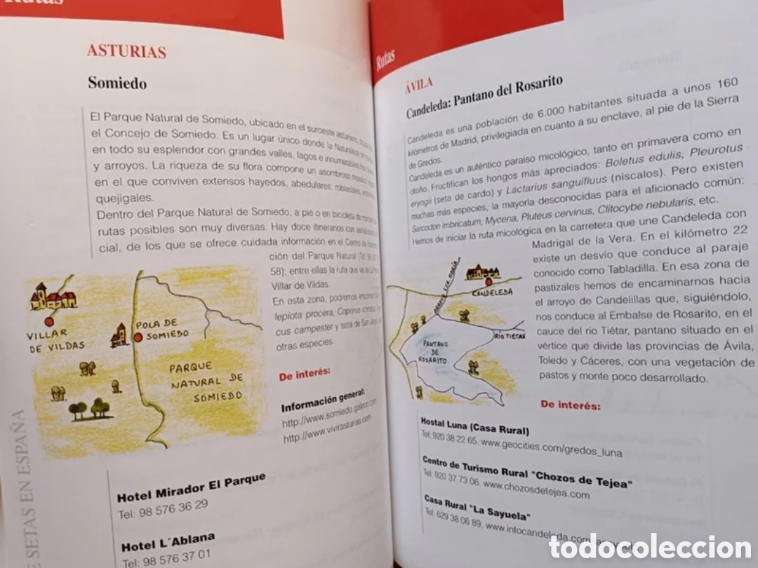 Libros: Gu&iacute;a de setas en Espa&ntilde;a - Foto 6