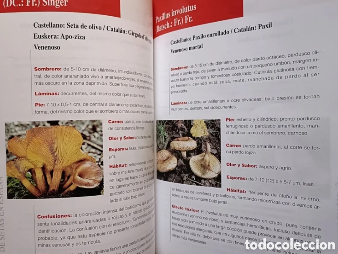 Libros: Gu&iacute;a de setas en Espa&ntilde;a - Foto 8