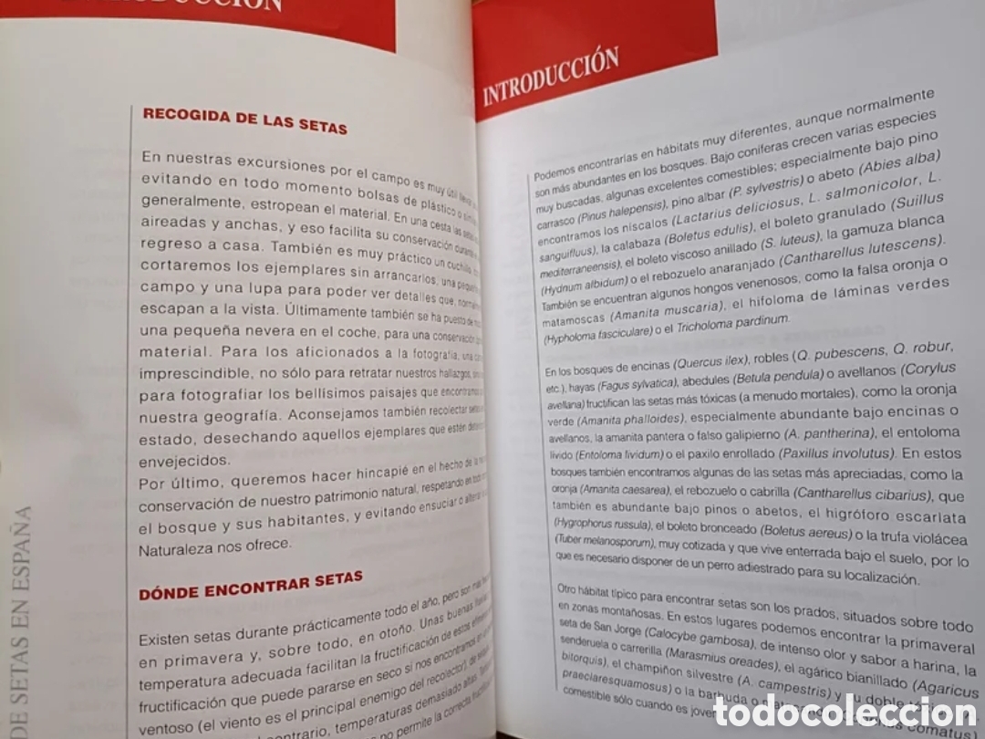 Libros: Gu&iacute;a de setas en Espa&ntilde;a - Foto 10