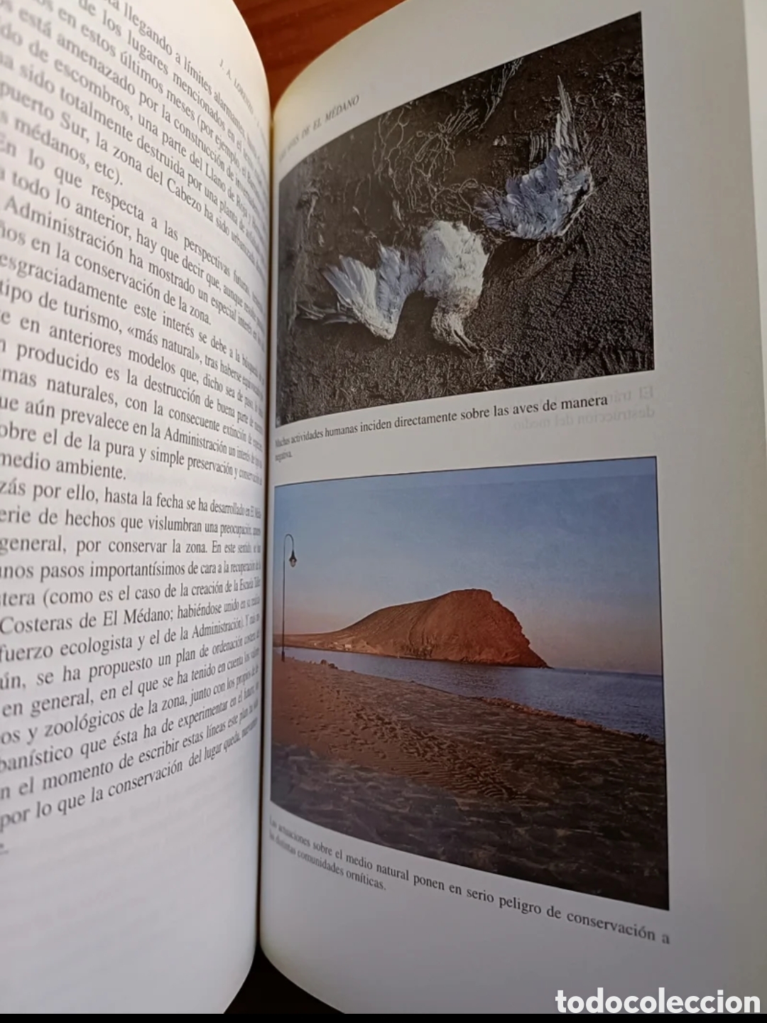 Libros: Las aves de El M&eacute;dano - Foto 7