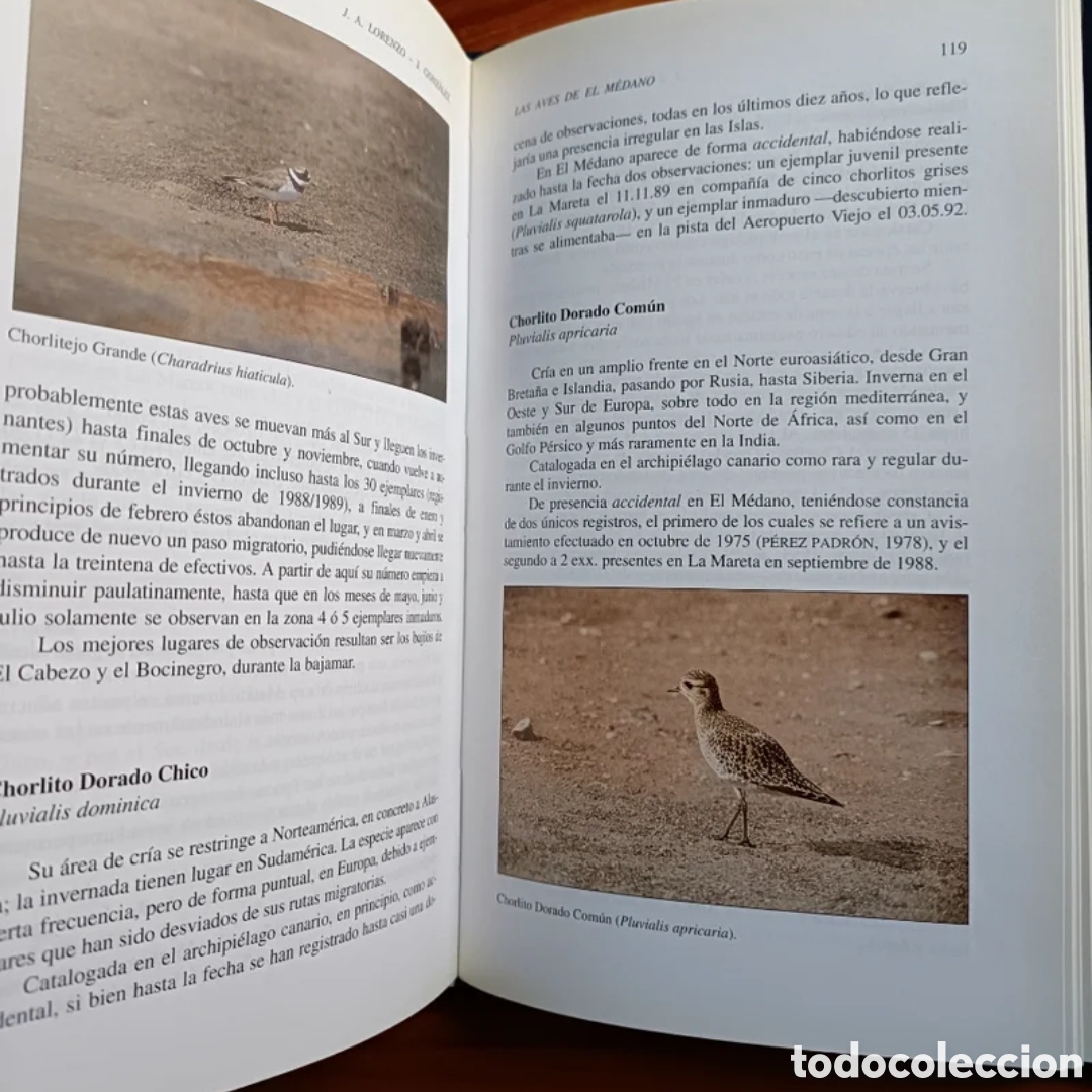 Libros: Las aves de El M&eacute;dano - Foto 9