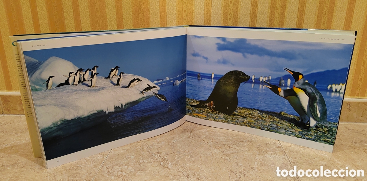 Libros: Libro Oc&eacute;anos, David Miller - Foto 3
