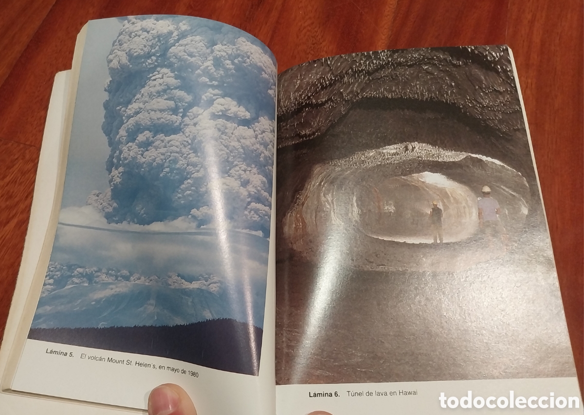 Libros: Libro &rdquo;El Planeta Viviente&rdquo; David Attenborough - Foto 8