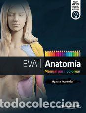 Livros: EVA | Anatom&iacute;a. Manual para colorear - Mer&iacute; Vived, Alex