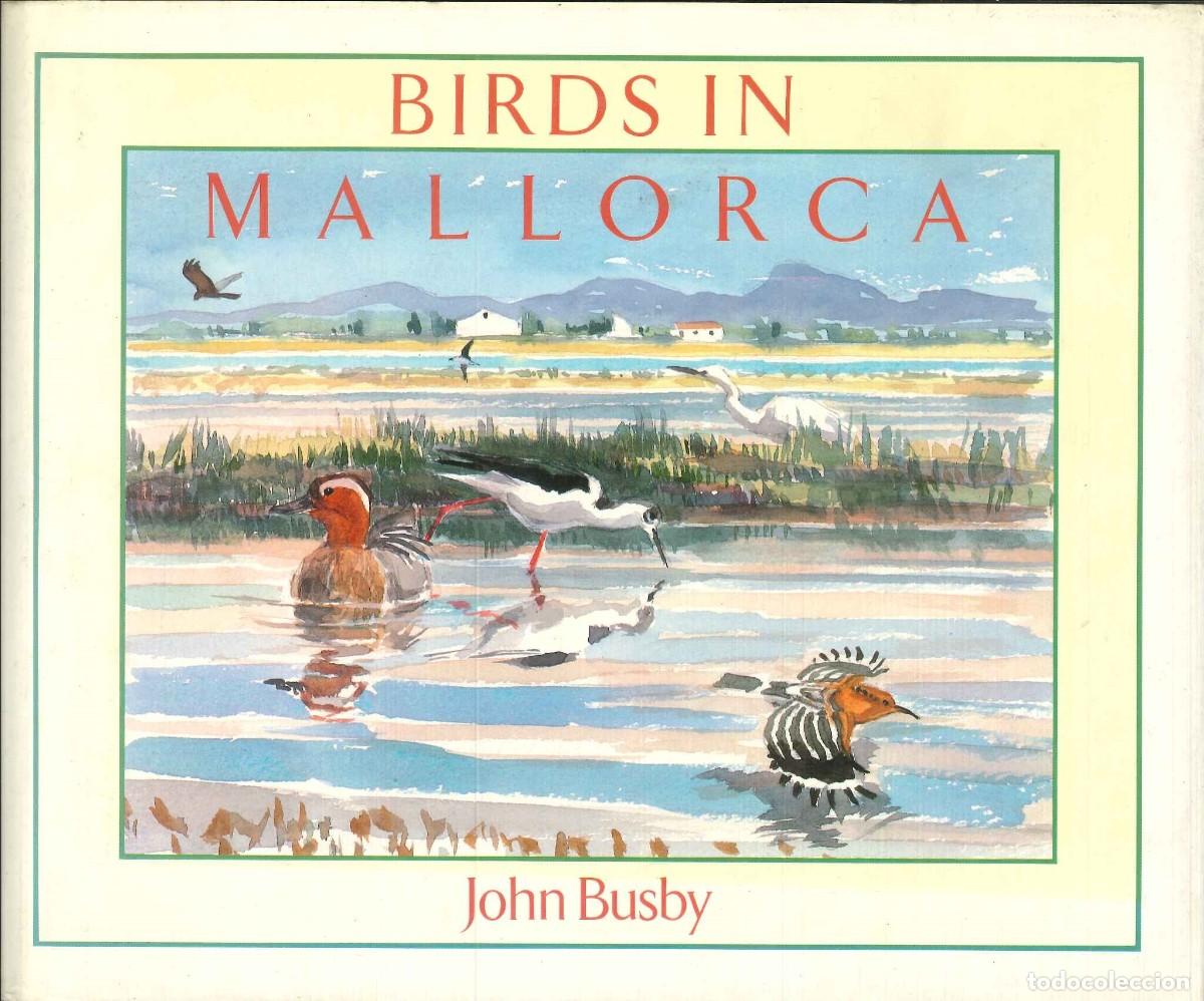 Libros: BIRDS IN MALLORCA - JOHN BUSBY - Foto 1