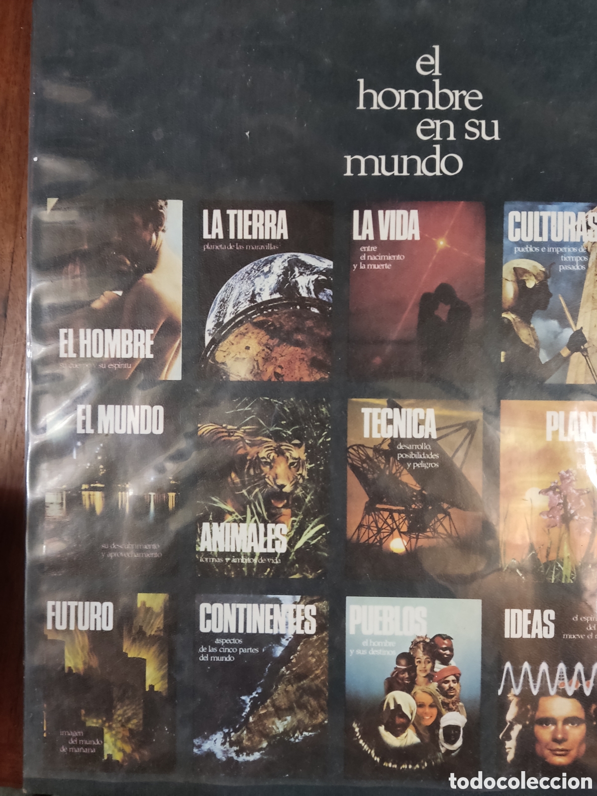 Libros: Plantas estructura, crecimiento - Foto 8