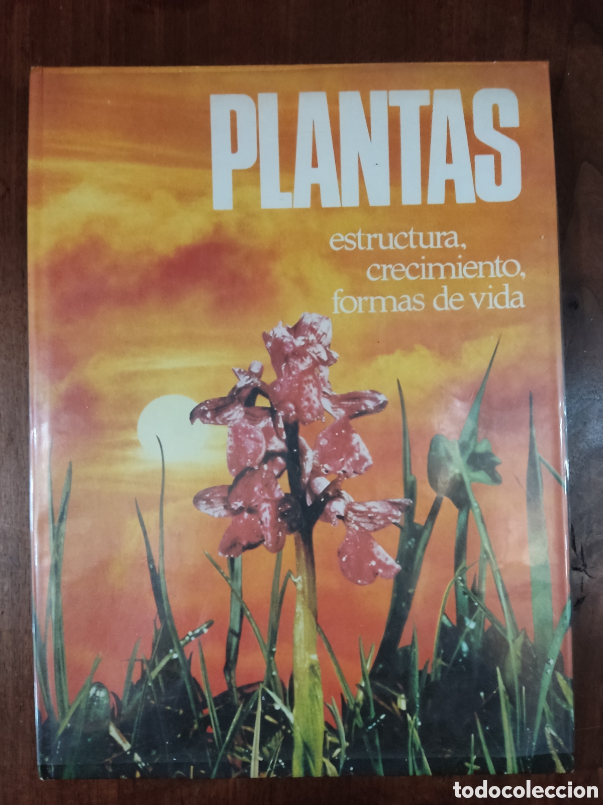Libros: Plantas estructura, crecimiento - Foto 1