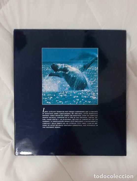 Libros: Libro Ballenas National Geographic - Foto 2