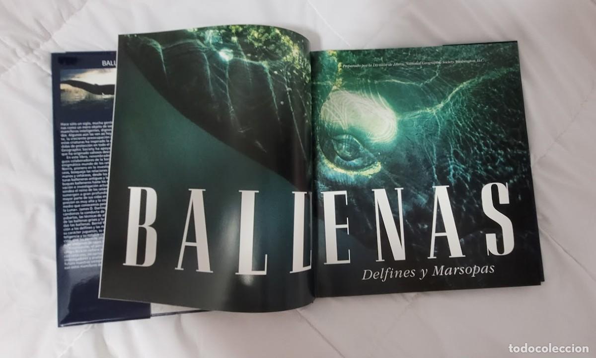 Libros: Libro Ballenas National Geographic - Foto 3