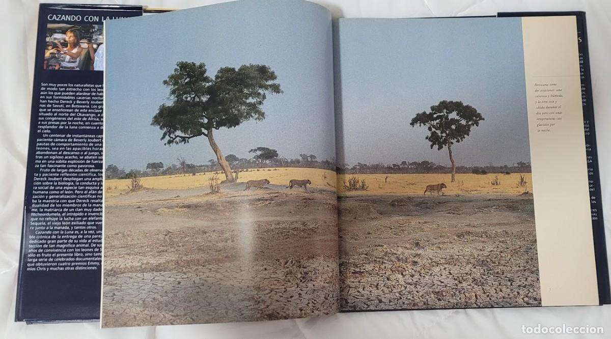 Libros: Libro Cazando con la Luna National Geographic - Foto 3