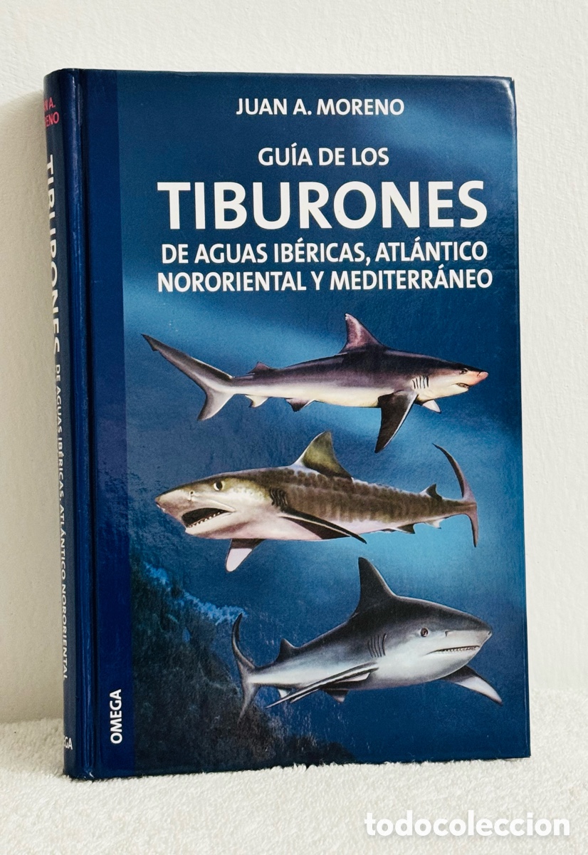 Libros: Libro gu&iacute;a ilustrado de tiburones (Nuevo)