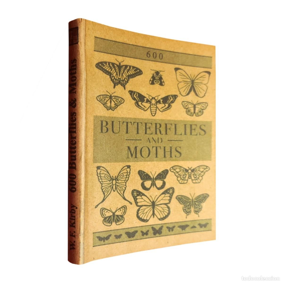 Libros: 600 Butterflies and Moths &mdash; W. F. Kirby &mdash; LIBRO NUEVO &mdash; LM
