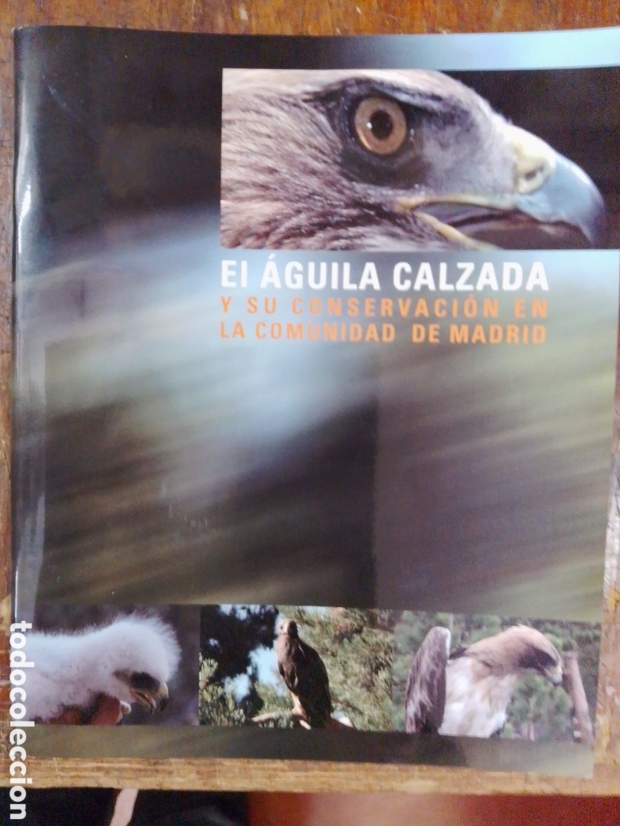 Libros: EL AGUILA CALZADA Y SU CONSERVACION EN LA COMUNIDAD DE MADRID. FICAS HABITAT. COM. MADRID. 2006